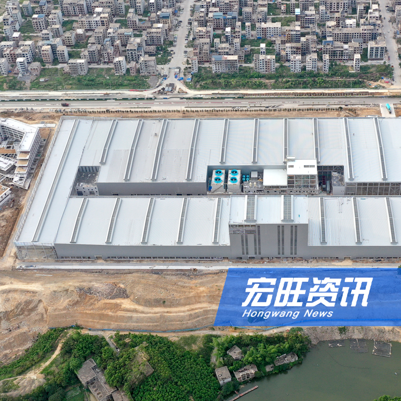 廣西壯族自治區(qū)黨委委員、自治區(qū)政府副主席胡帆一行蒞臨廣西宏旺調(diào)研